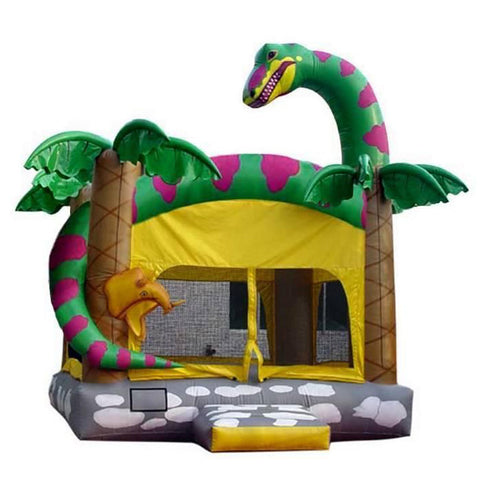 Dinosaur Playground Bounce House